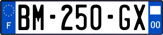 BM-250-GX