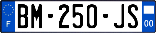 BM-250-JS