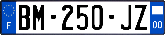 BM-250-JZ