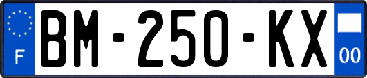 BM-250-KX