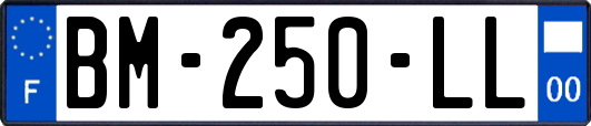 BM-250-LL