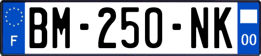 BM-250-NK