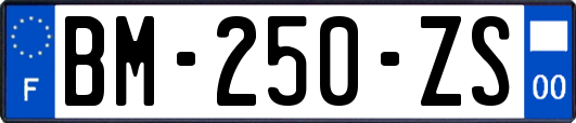 BM-250-ZS