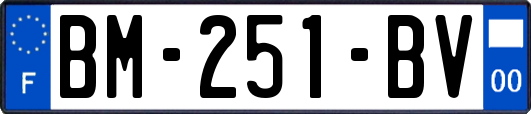 BM-251-BV