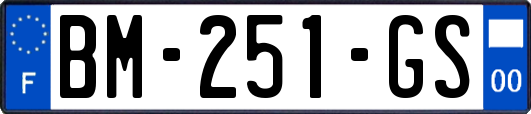 BM-251-GS