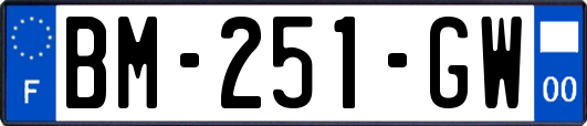 BM-251-GW