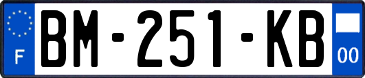 BM-251-KB