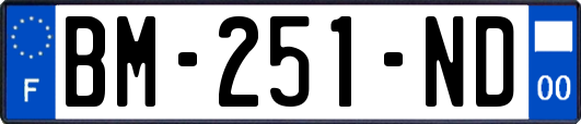 BM-251-ND