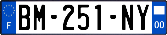 BM-251-NY