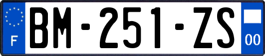 BM-251-ZS