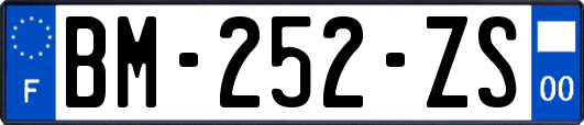 BM-252-ZS