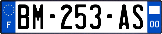 BM-253-AS