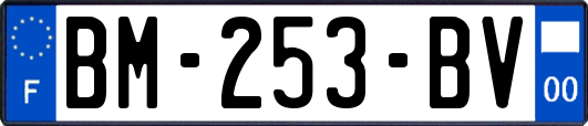 BM-253-BV