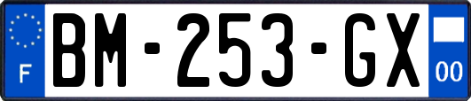 BM-253-GX