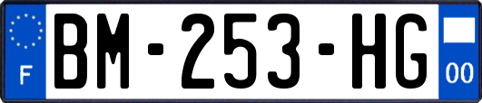 BM-253-HG