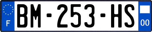 BM-253-HS