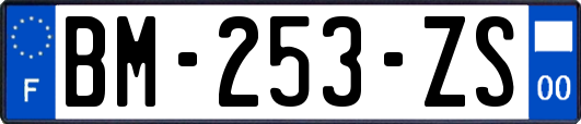 BM-253-ZS