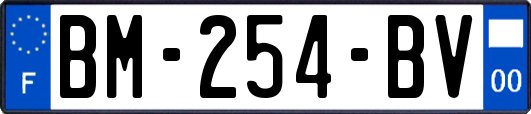 BM-254-BV