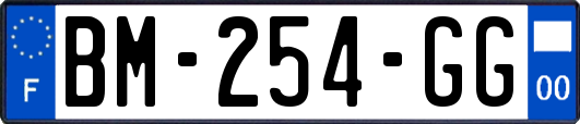 BM-254-GG