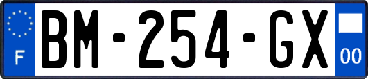 BM-254-GX