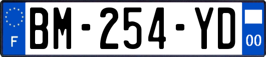 BM-254-YD