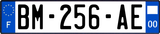 BM-256-AE