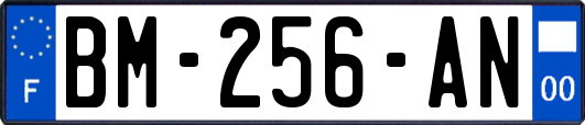 BM-256-AN