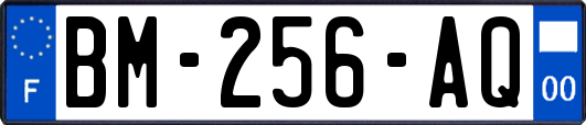 BM-256-AQ