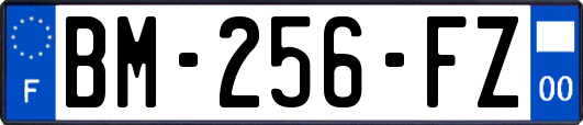 BM-256-FZ