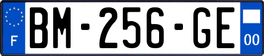 BM-256-GE