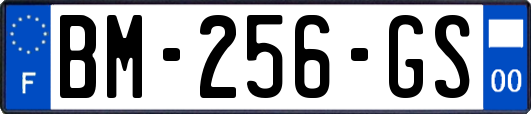 BM-256-GS