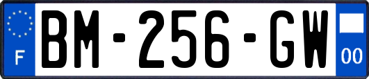 BM-256-GW