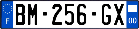 BM-256-GX