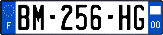 BM-256-HG