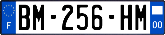 BM-256-HM