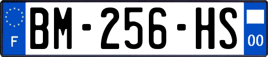 BM-256-HS