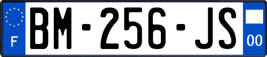 BM-256-JS
