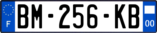 BM-256-KB