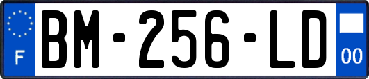BM-256-LD