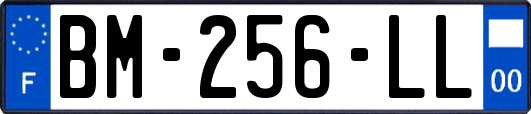 BM-256-LL