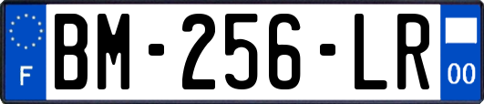 BM-256-LR