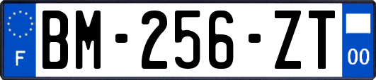 BM-256-ZT