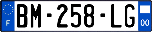 BM-258-LG