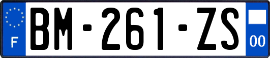 BM-261-ZS