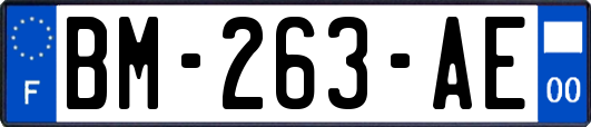 BM-263-AE