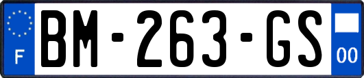 BM-263-GS