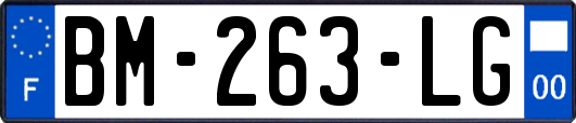 BM-263-LG