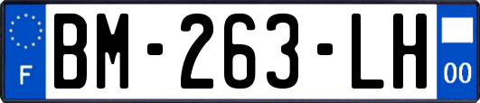 BM-263-LH