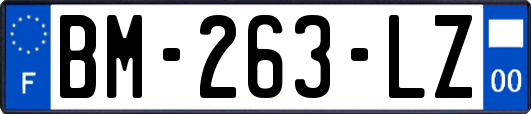 BM-263-LZ