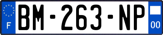 BM-263-NP